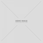 demo-img-1